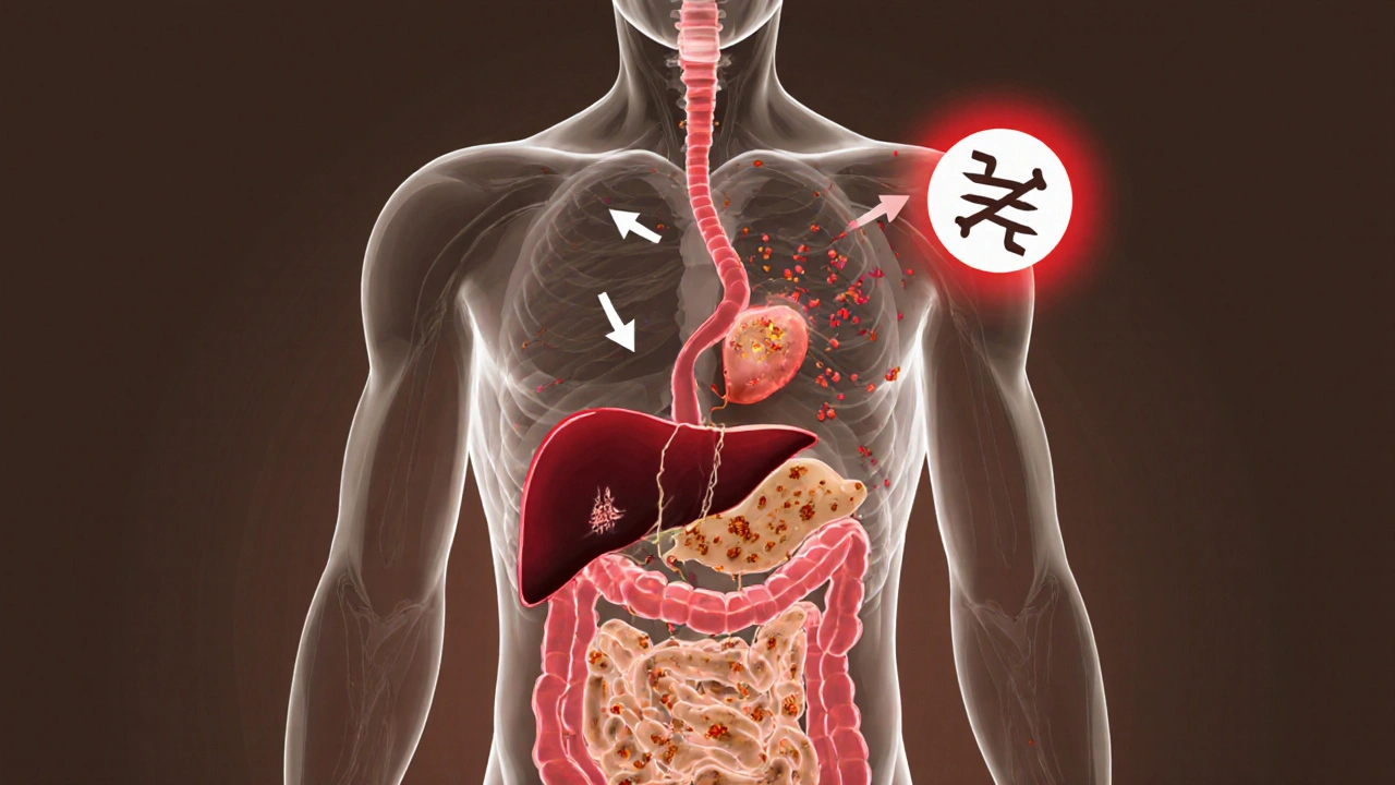 Hemochromatosis: How Iron Overload Damages Your Liver and How Phlebotomy Fixes It