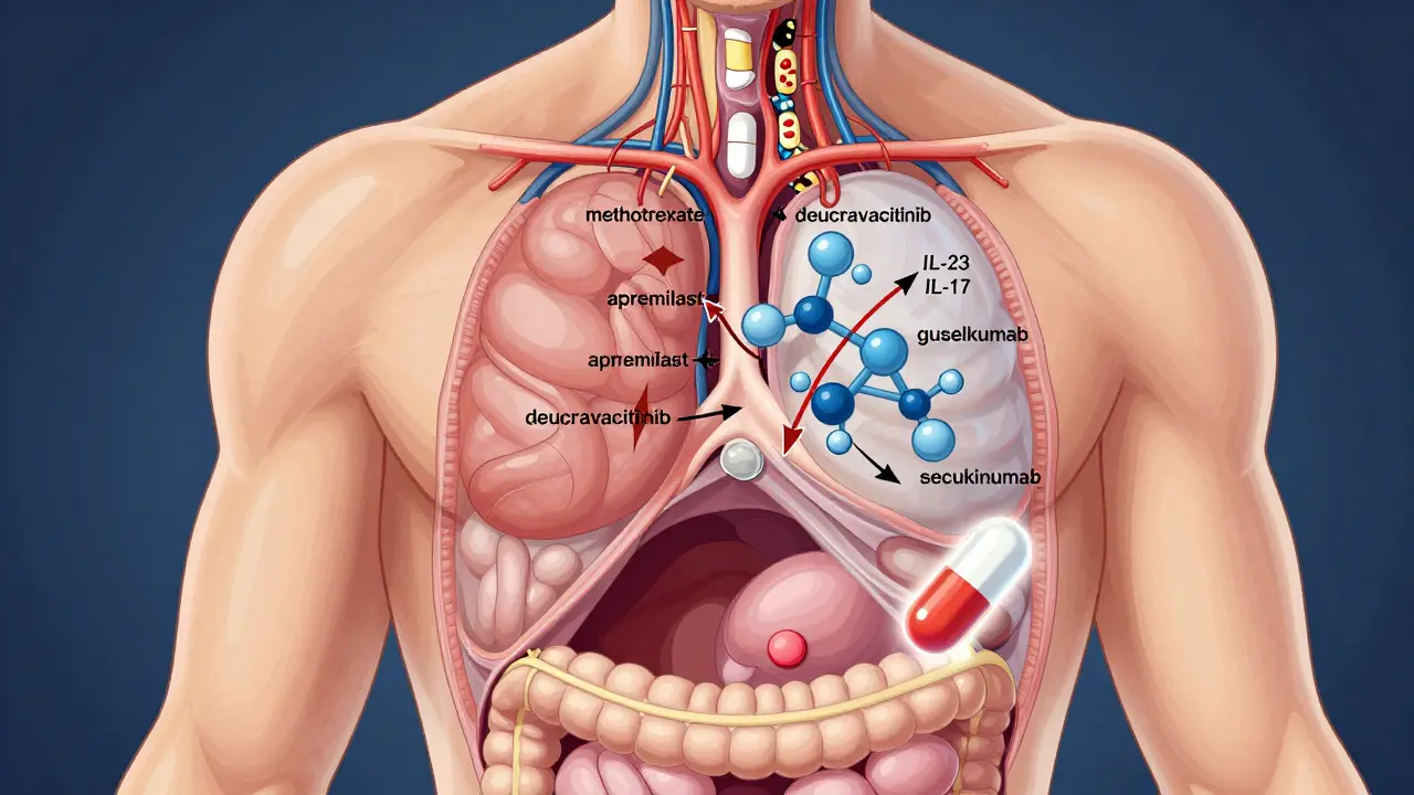 Internal view of the body showing oral drugs and biologics targeting immune pathways to treat psoriasis.