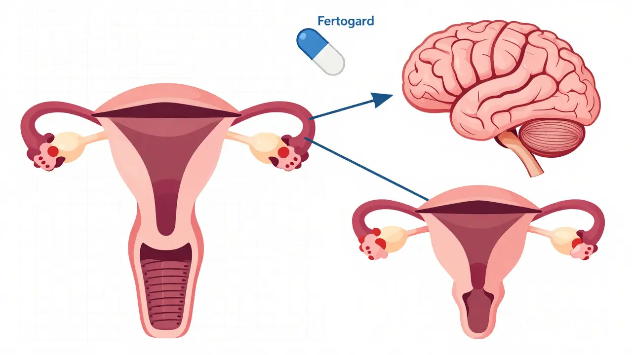 How and Where to Buy Fertogard Online: Prices, Retailers & Safety Guide